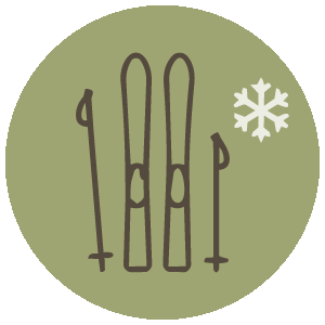 Skiraum Icon